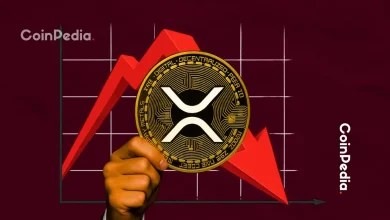 为什么XRP价格今日出现下跌？